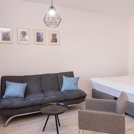 Provenir Home Strzelecka 25 بوزنان المظهر الخارجي الصورة